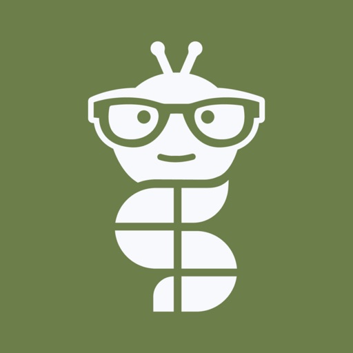 Reelly: Scroll & learn