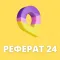 Реферат 24