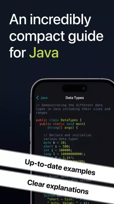 Screenshot di Java Snippets
