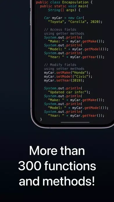 Screenshot di Java Snippets