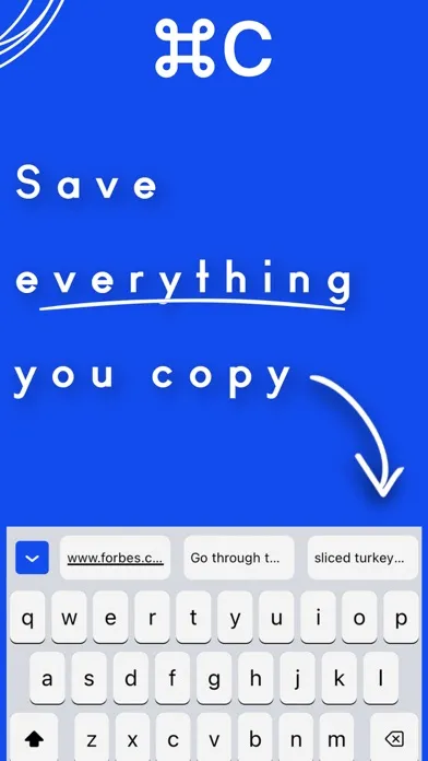 Copybin — Save your clipboard应用截图