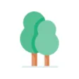 refoorest plant trees refoorest plant trees