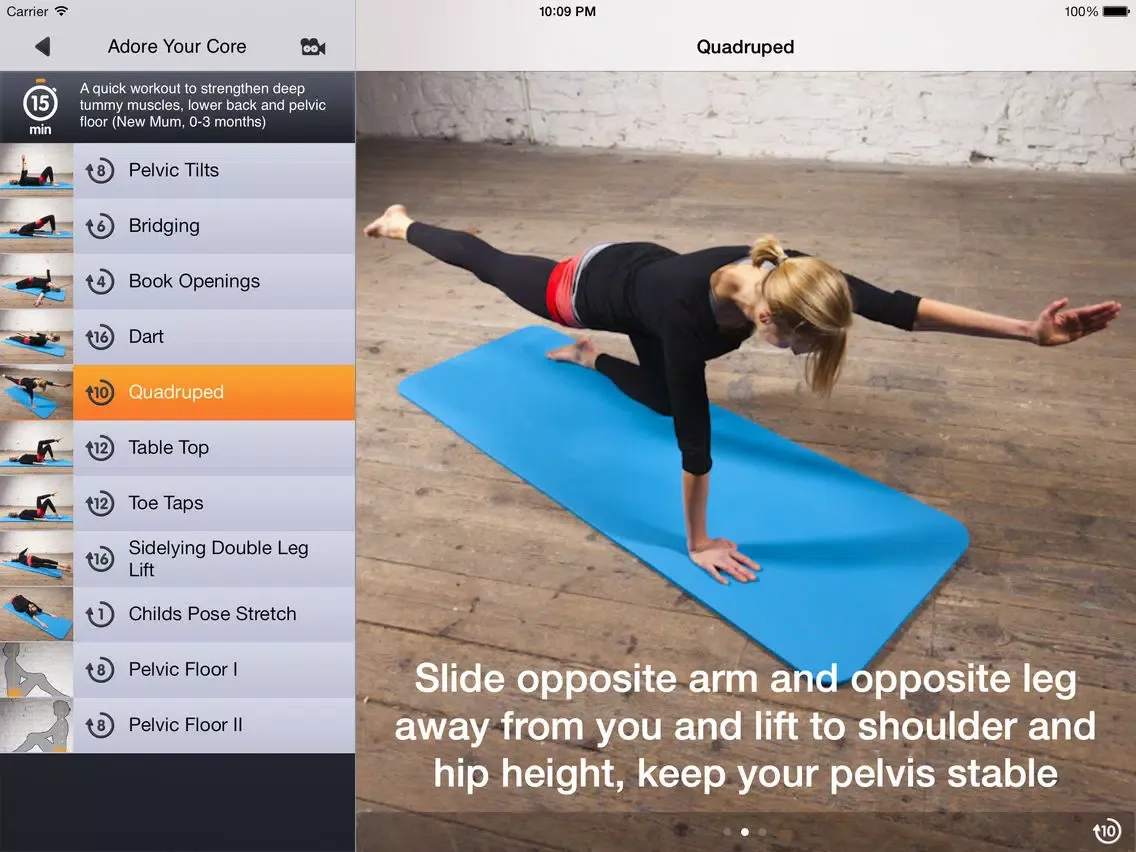 Postnatal Pilates 4+ by Reform iPad  スクリーンショット