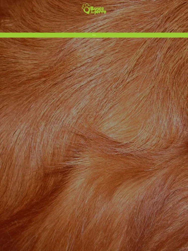 Captures d'écran de Busca tu Perro iPad 