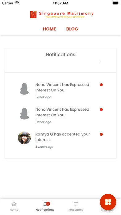 Singapore Matrimony应用截图