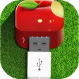Fast Charger