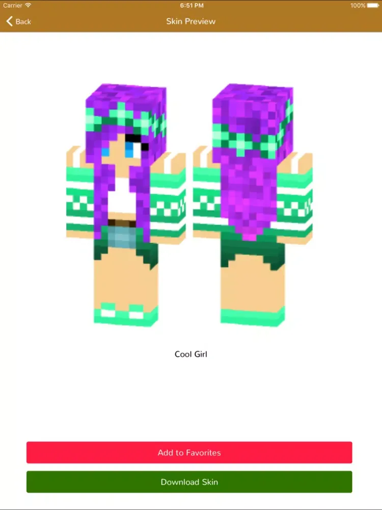 Capturas de tela do Girl Skins for Minecraft Pocket Edition-MCPE Skins iPad 