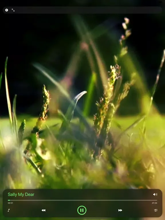 Capturas de tela do St Patrick's Day Music iPad 