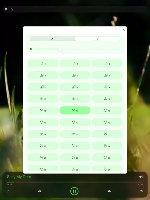 Capturas de tela do St Patrick's Day Music iPad 