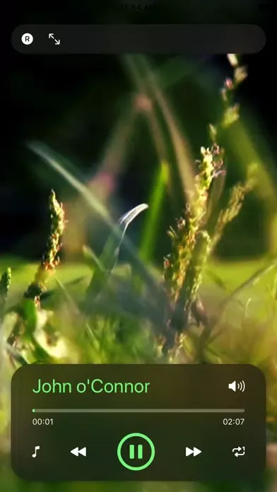 Capturas de tela do St Patrick's Day Music