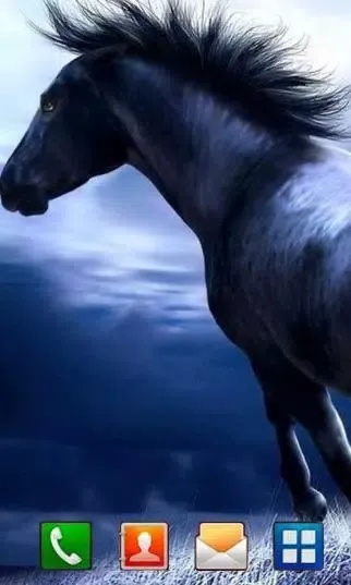 صور Horses Night live wallpaper