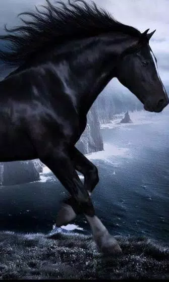 Horses Night live wallpaper Screenshots