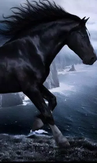 صور Horses Night live wallpaper