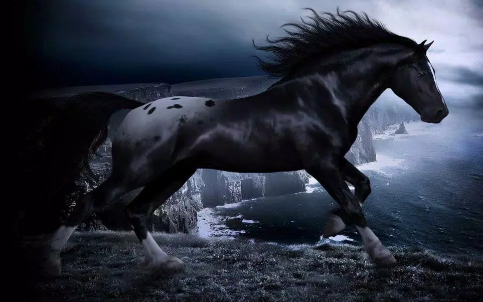 Horses Night live wallpaper Screenshots