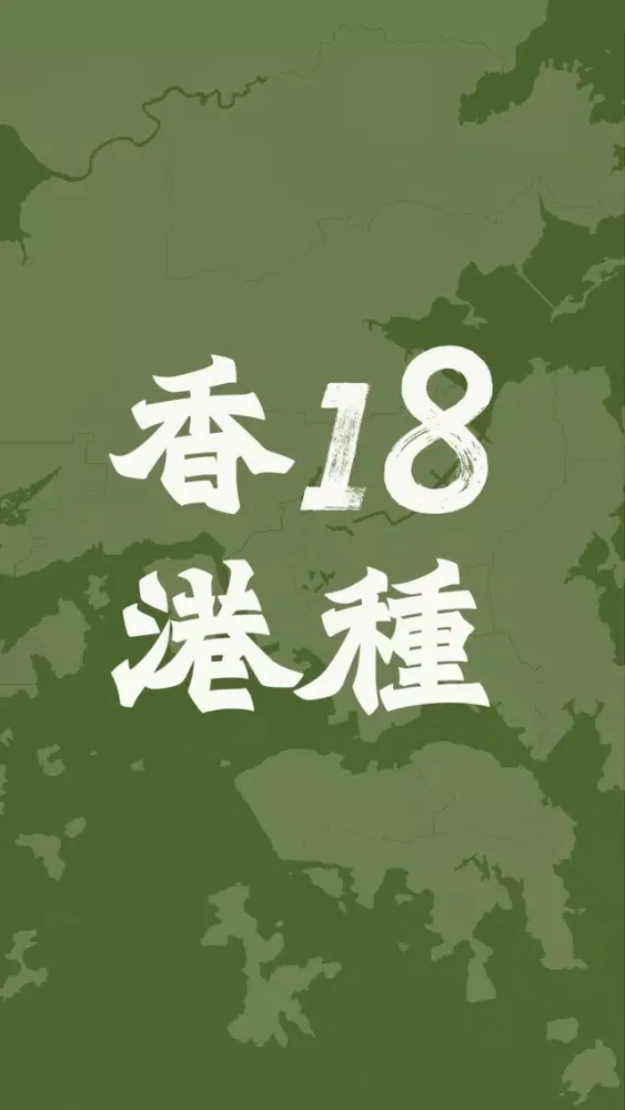 تصاویر 18種香港 Reimagine HK