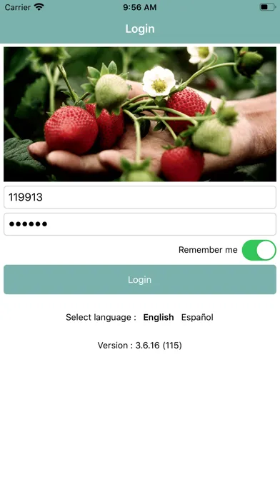 Capturas de pantalla de Fruit Receipt