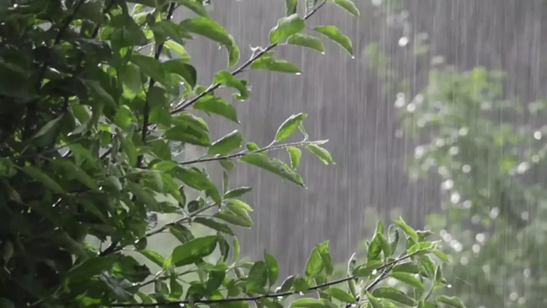 Capturas de pantalla de Relaxing water