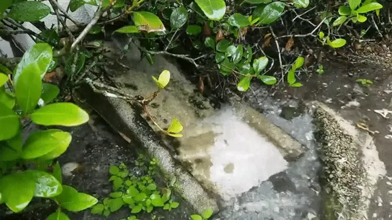 Capturas de pantalla de Relaxing water