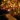 Christmas Music : Silent Night