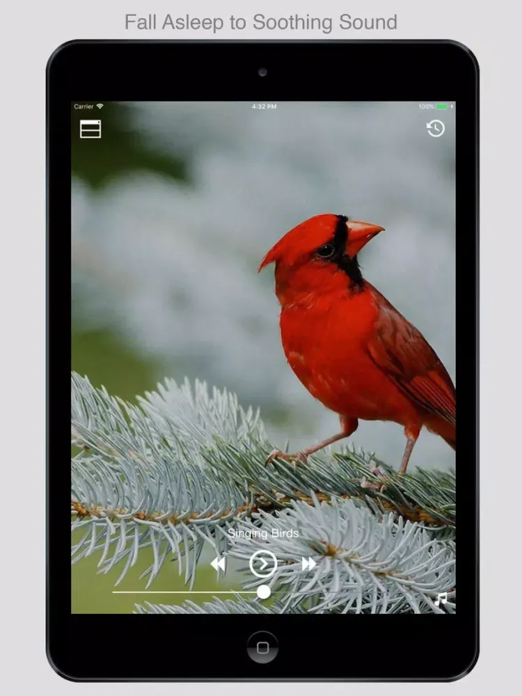 Relaxing Sounds Pro Deep Sleep iPad  Screenshots
