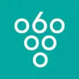 Sixty Vines