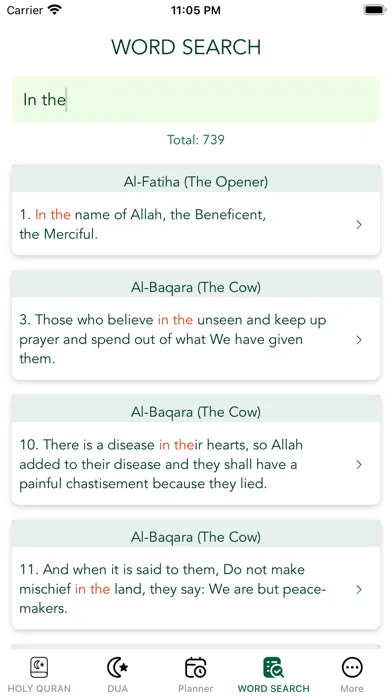Capturas de pantalla de Holy Quran - All