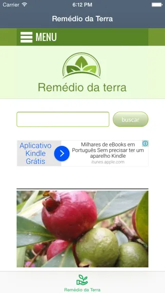 REMÉDIO DA TERRA - RECEITAS DE REMÉDIOS CASEIROS GRÁTIS TODOS OS DIAS應用截圖