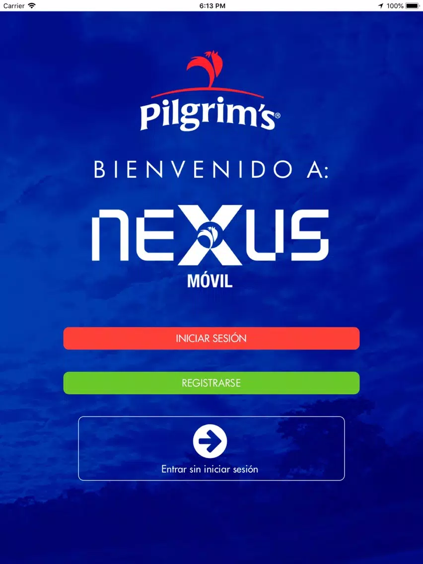 Tangkapan layar Nexus iPad 