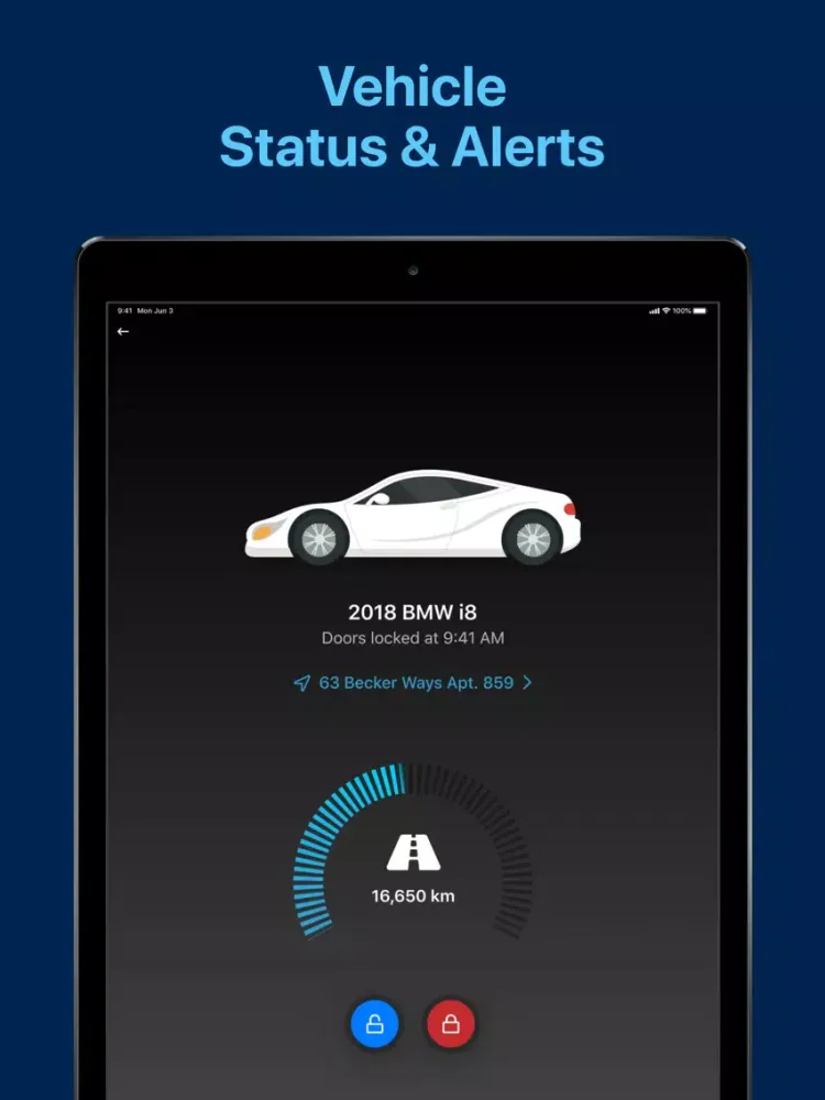 صور Car Remote Control For BMW iPad 