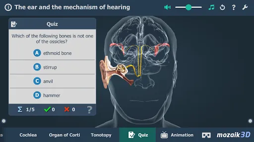 The mechanism of hearing 3D Screenshots