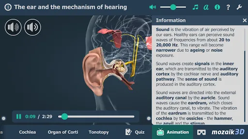 The mechanism of hearing 3D Screenshots