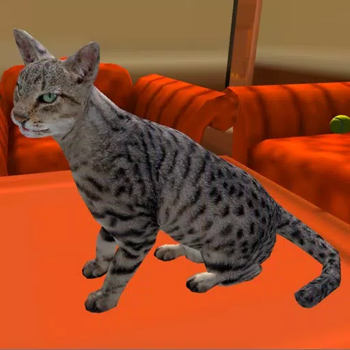 Super Cat 3D Super Cat 3D