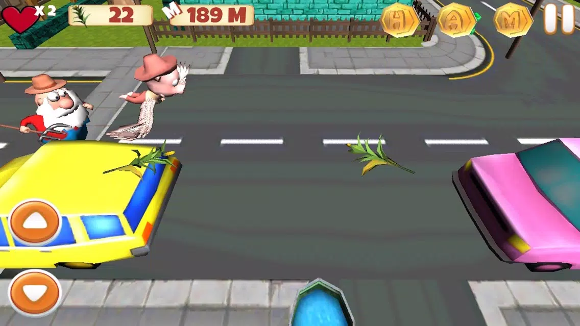 Super HAM Run 3D应用截图