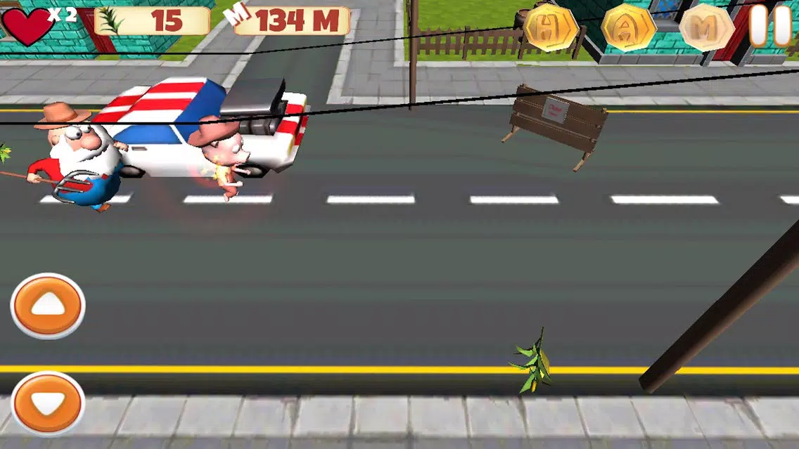Super HAM Run 3D应用截图