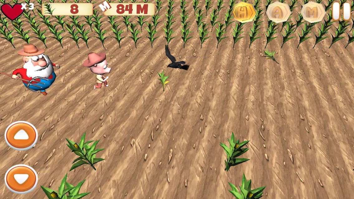 Super HAM Run 3D应用截图