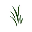 Renew Biomass Field App