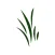 Renew Biomass Field App