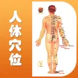 中医穴位大全