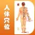 中医穴位大全