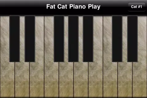 Fat Cat Piano Play FREE スクリーンショット