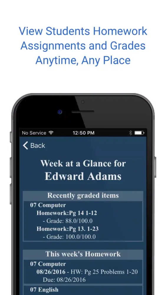 Скриншоты RenWeb Home