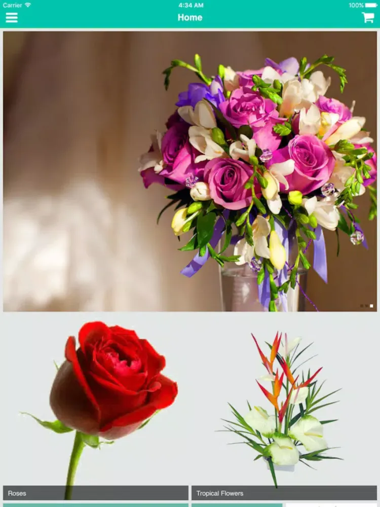 Ảnh chụp màn hình của Romance Life iPad 
