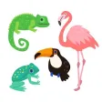 Zookeys Zookeys