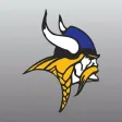 STHS Vikings