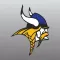 STHS Vikings