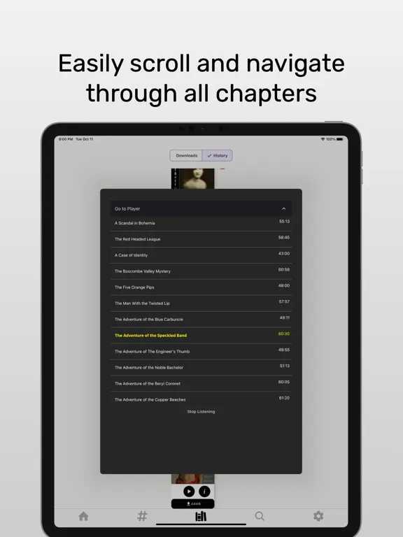 LibriVox Audiobooks - zLibrary iPad  Ekran Görüntüleri