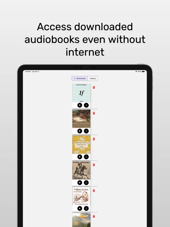 LibriVox Audiobooks - zLibrary iPad  Ekran Görüntüleri