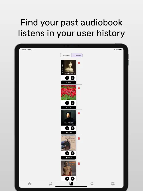LibriVox Audiobooks - zLibrary iPad  Ekran Görüntüleri
