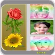 Picture Collage HD Lite