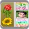 Picture Collage HD Lite